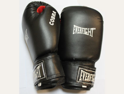   EVERFIGHT EBG-529 COBRA